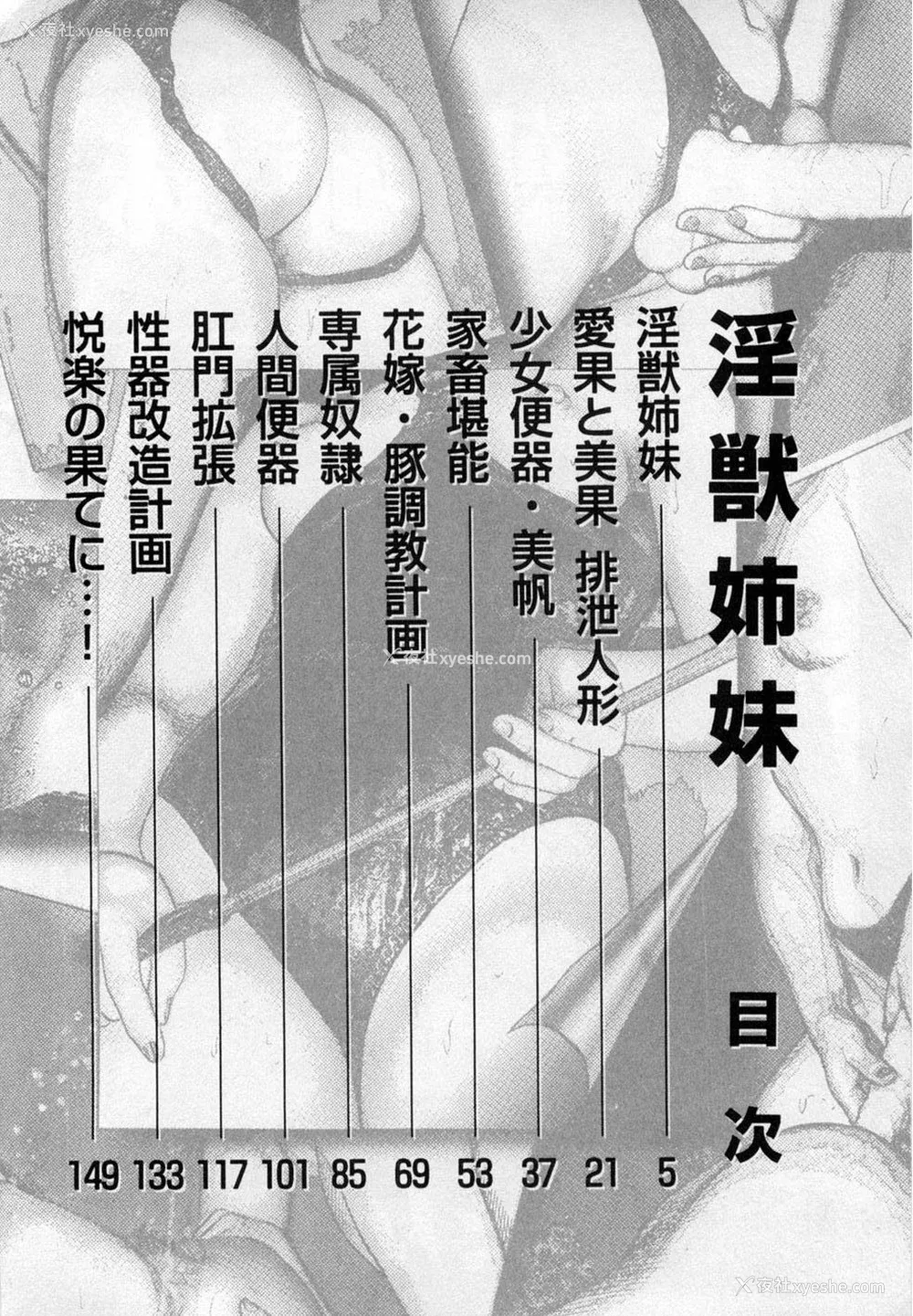 3P - [三条友美] 淫獣姉妹 [中国翻訳]