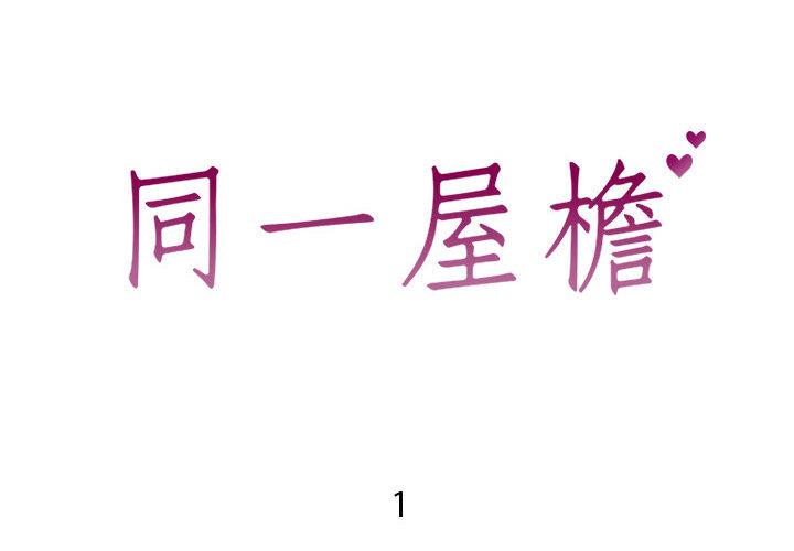 2P - 同一屋檐/偶然同住