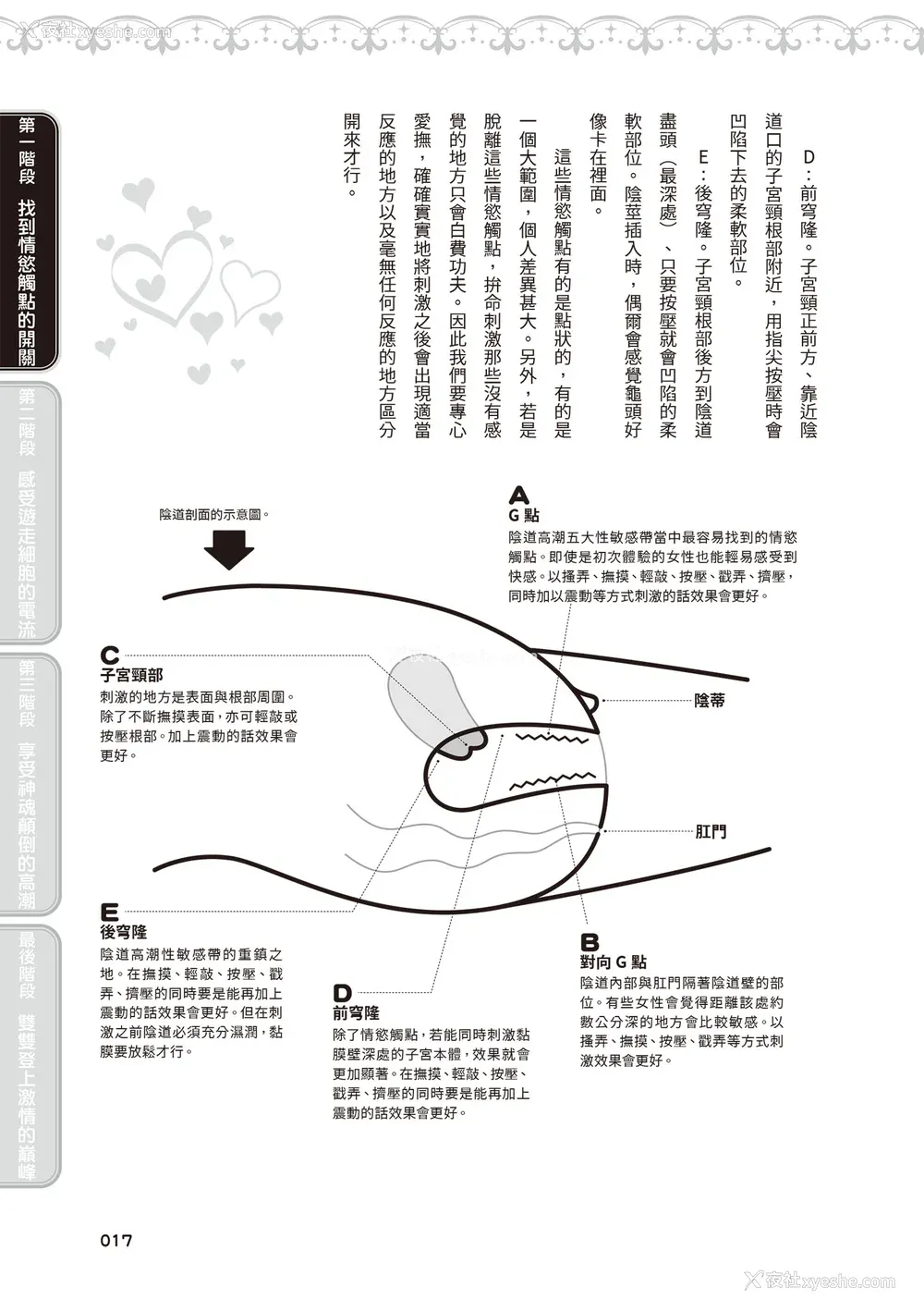18P - [由良桥势] 膣性感开発 中イキ完全マニュアル イラスト版｜内部攻略！图解阴道快感开发･高潮完全指南