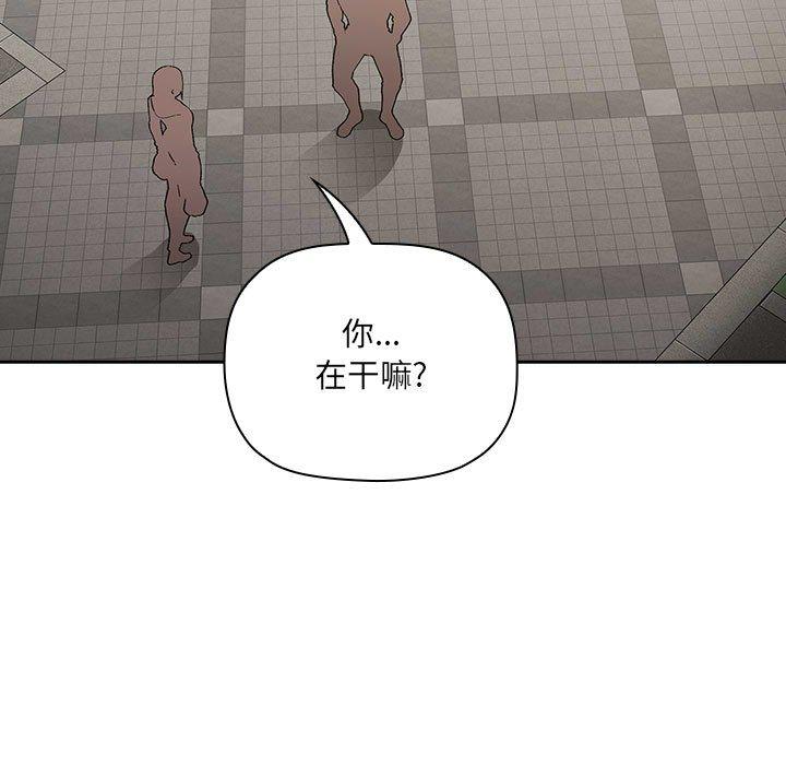 11P - 欢迎进入梦幻直播间