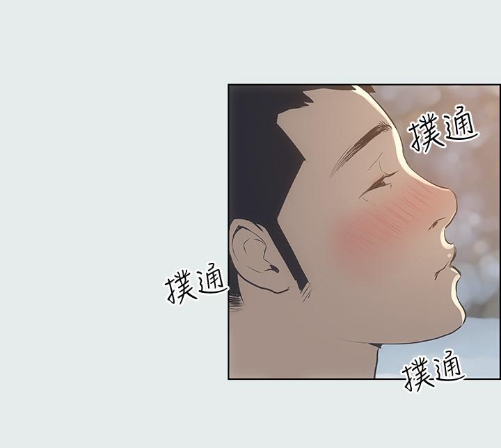 29P - 纵夏夜之梦