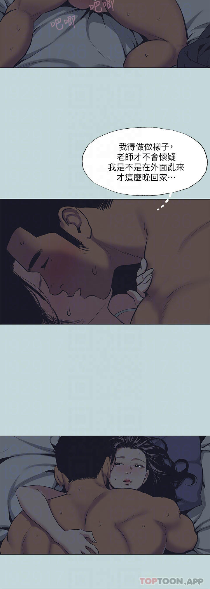 5P - 纵夏夜之梦