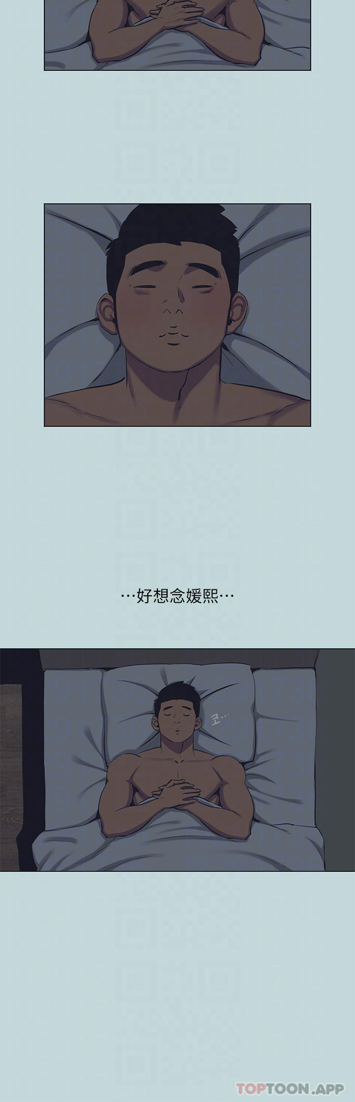 7P - 纵夏夜之梦