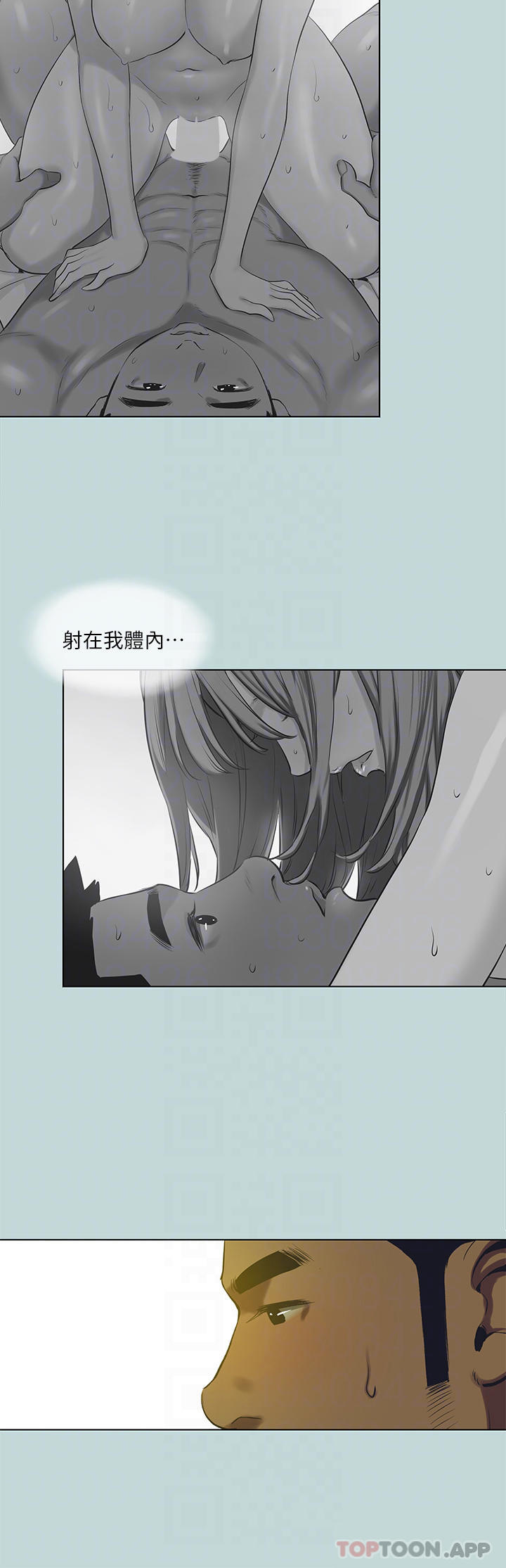 6P - 纵夏夜之梦