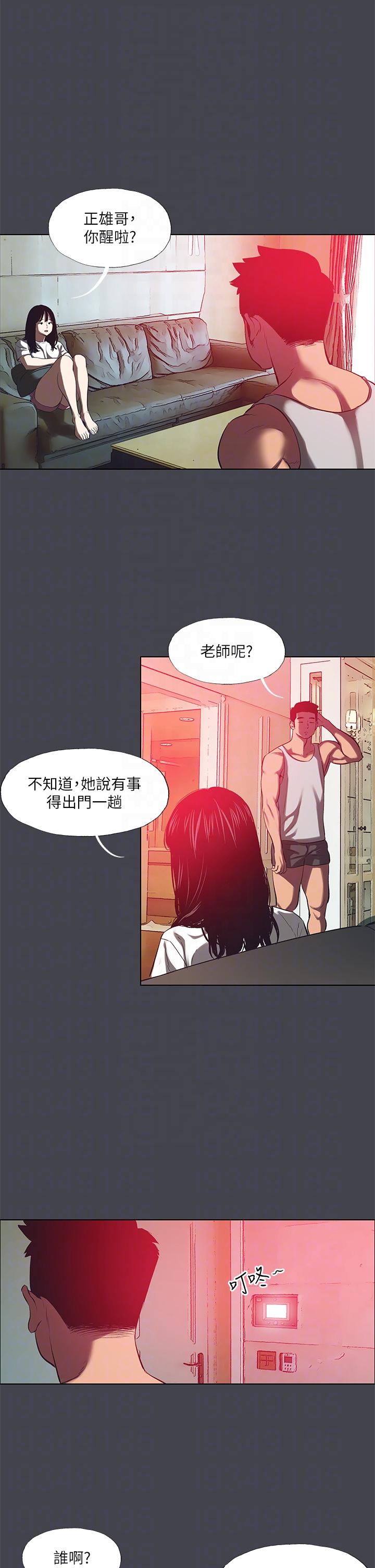 14P - 纵夏夜之梦