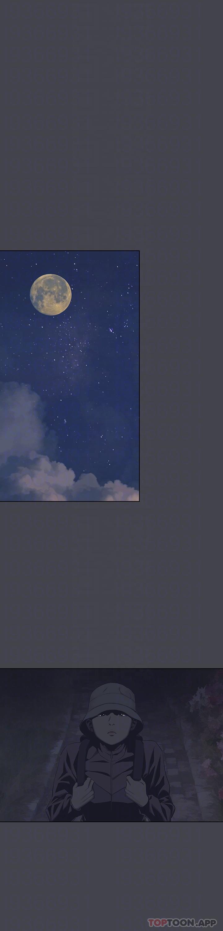 18P - 纵夏夜之梦
