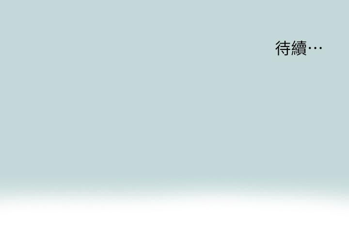 31P - 纵夏夜之梦