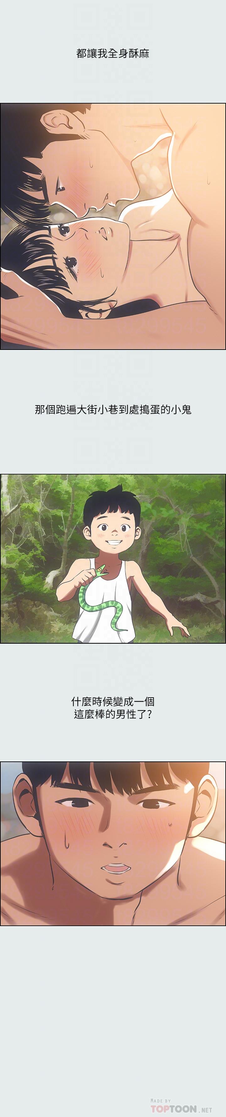 8P - 纵夏夜之梦