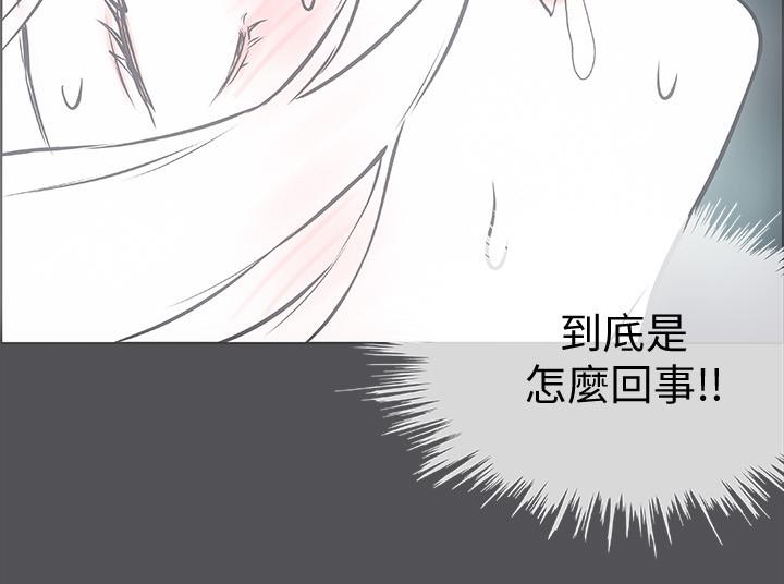 17P - 纵夏夜之梦