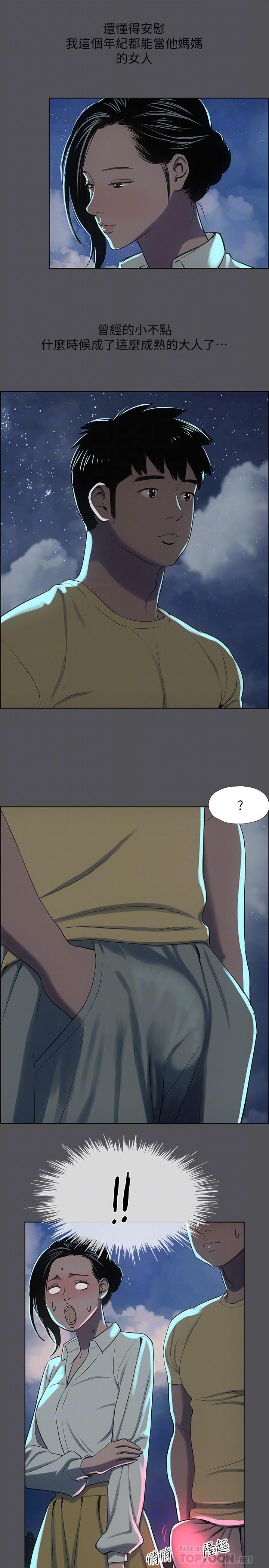 16P - 纵夏夜之梦