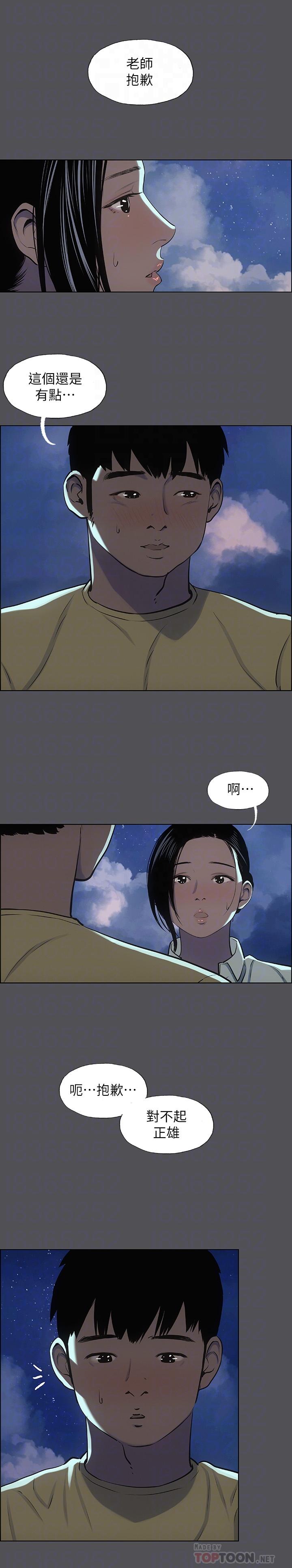 6P - 纵夏夜之梦