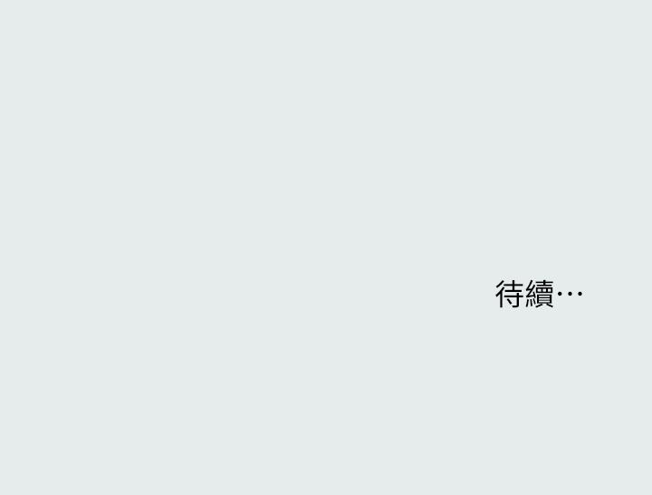 28P - 纵夏夜之梦