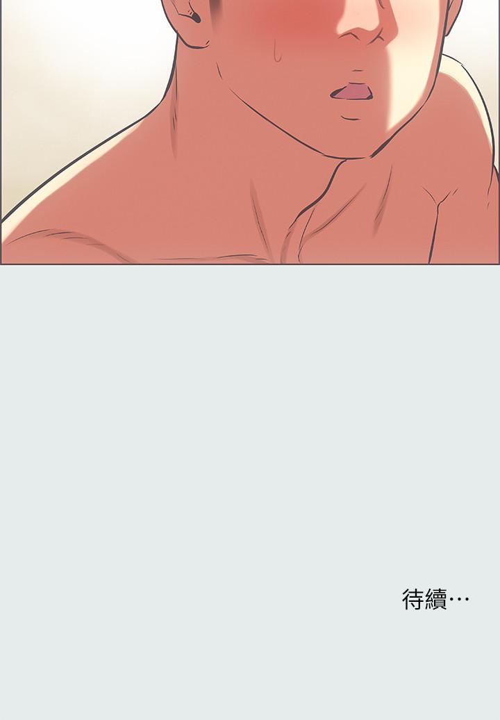 27P - 纵夏夜之梦