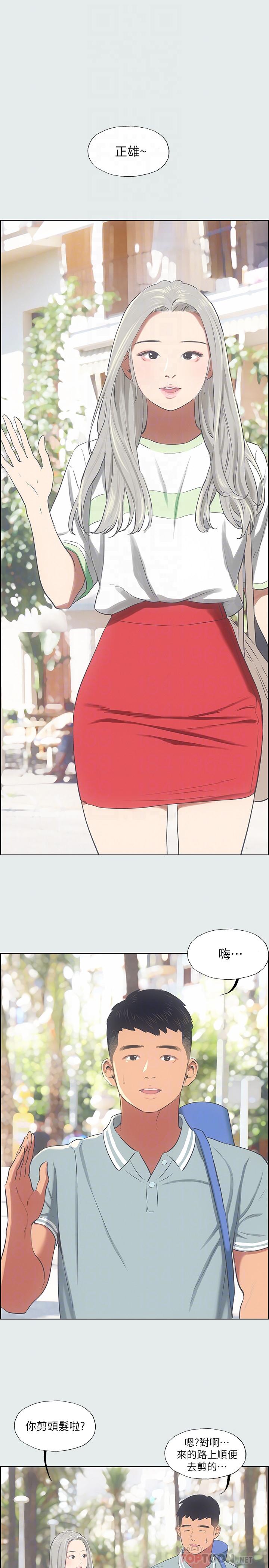 6P - 纵夏夜之梦
