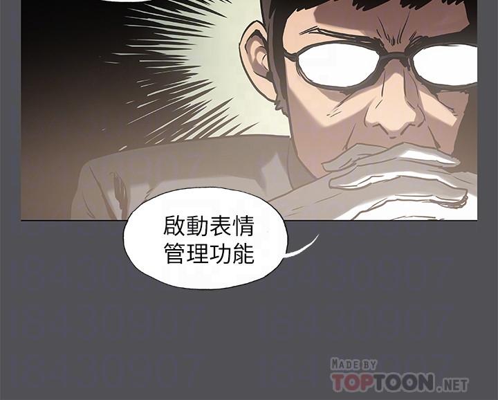4P - 纵夏夜之梦