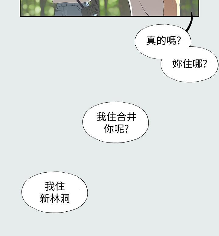 13P - 纵夏夜之梦