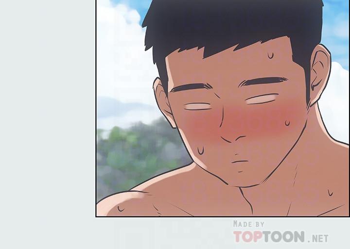 13P - 纵夏夜之梦