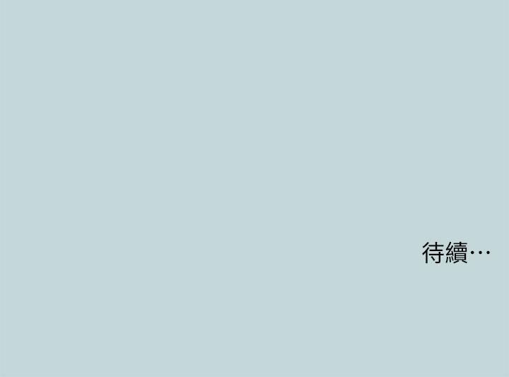 31P - 纵夏夜之梦