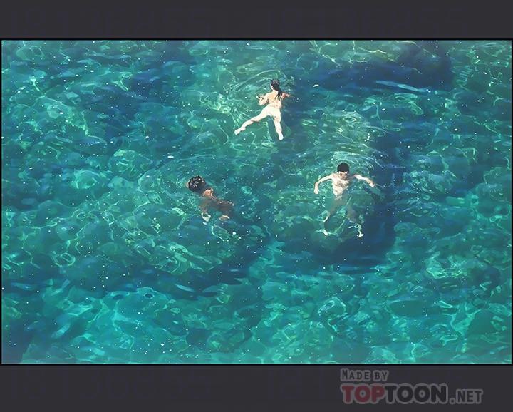 14P - 纵夏夜之梦