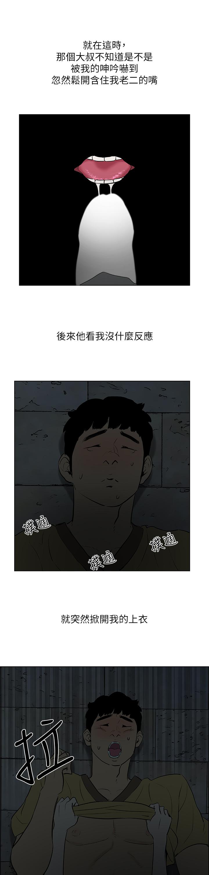 21P - 纵夏夜之梦
