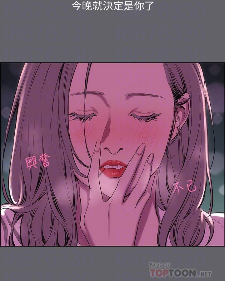 12P - 纵夏夜之梦