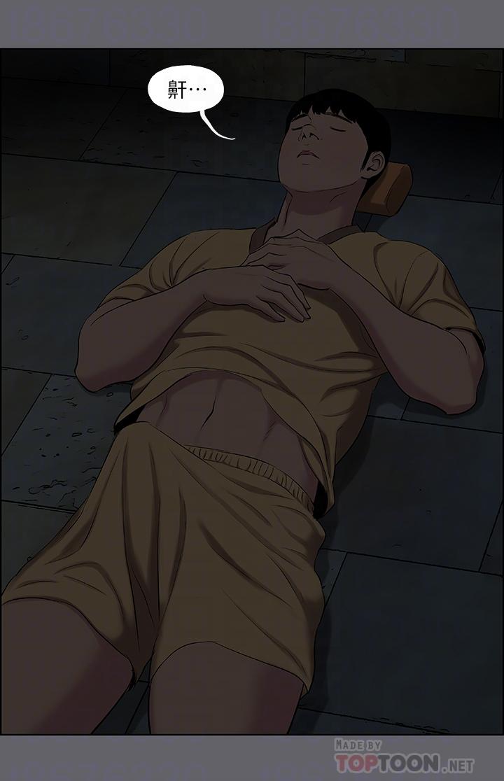 16P - 纵夏夜之梦