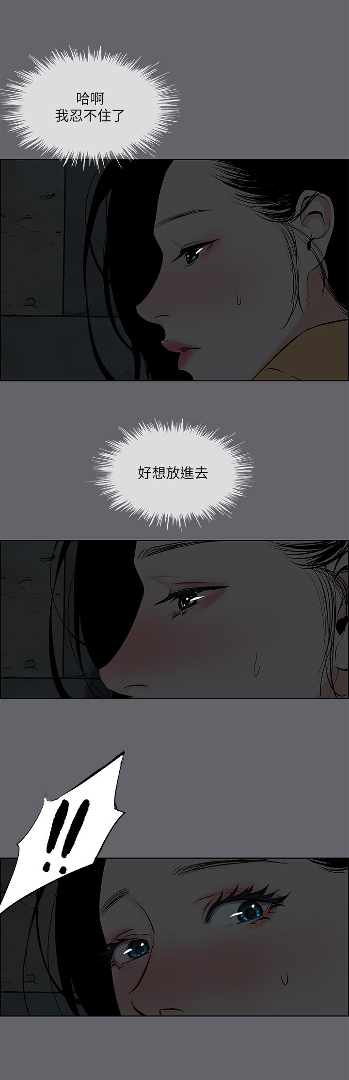 31P - 纵夏夜之梦