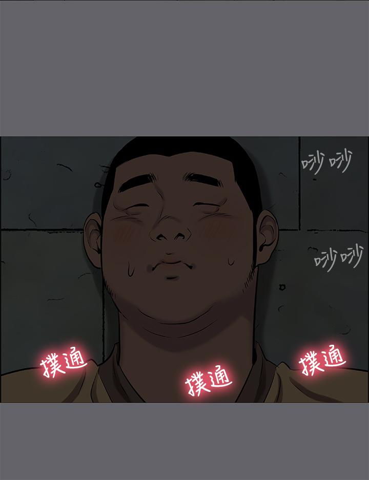 11P - 纵夏夜之梦
