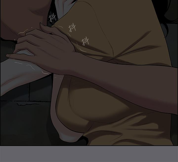 7P - 纵夏夜之梦