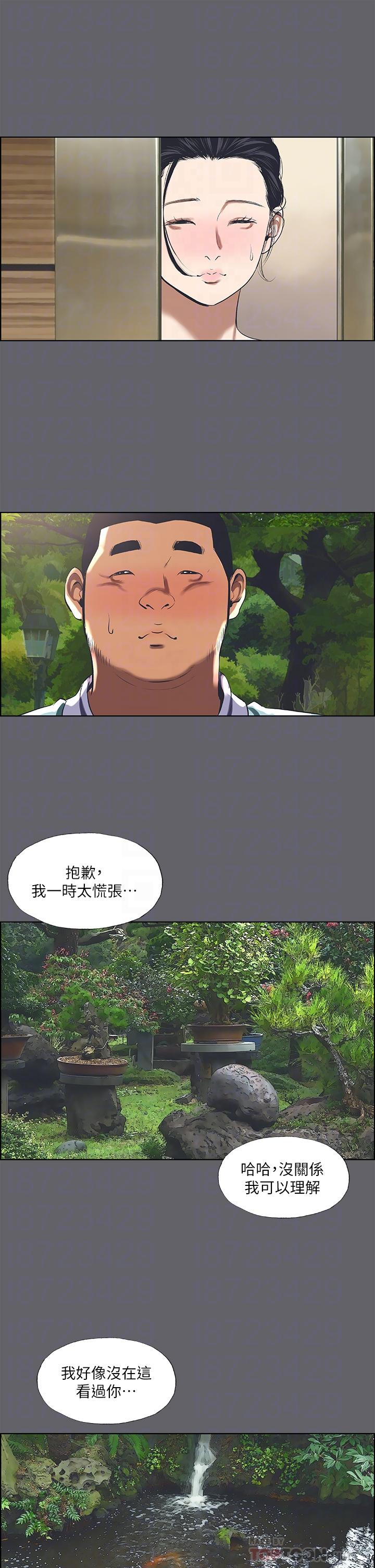 11P - 纵夏夜之梦
