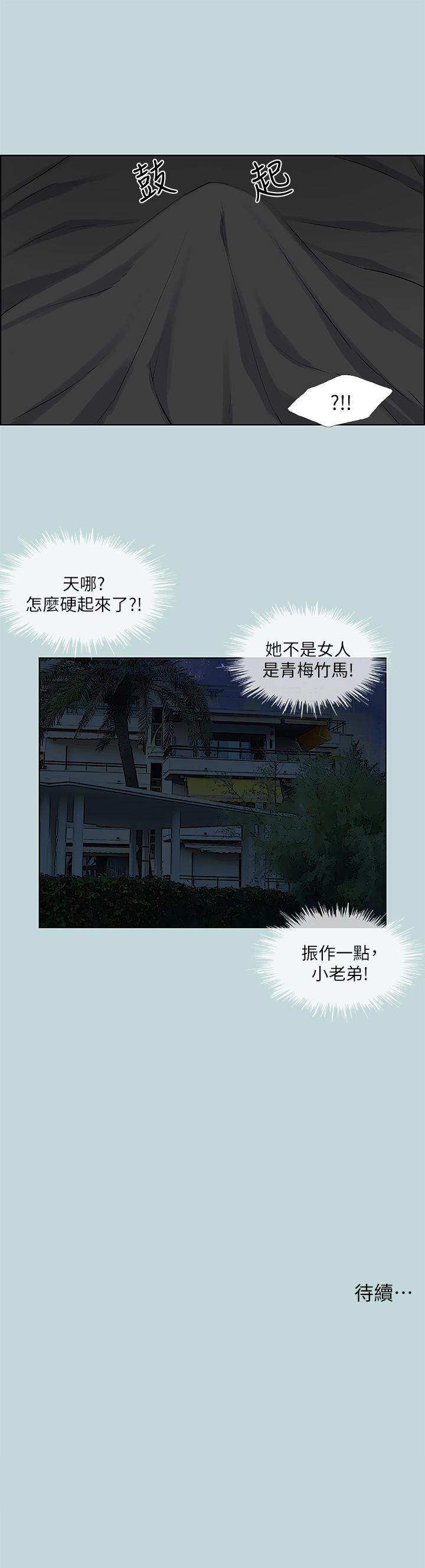 31P - 纵夏夜之梦