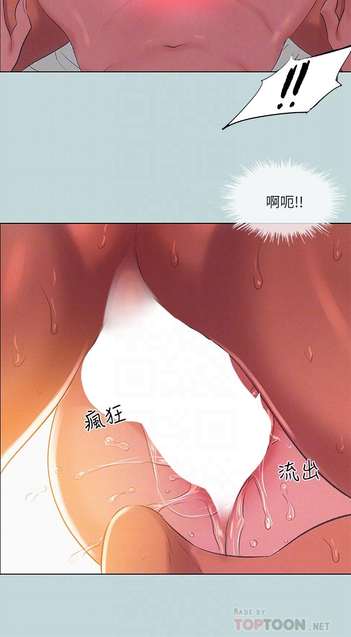 14P - 纵夏夜之梦