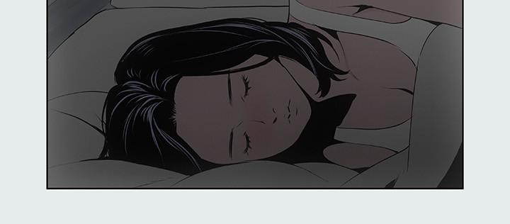 25P - 纵夏夜之梦