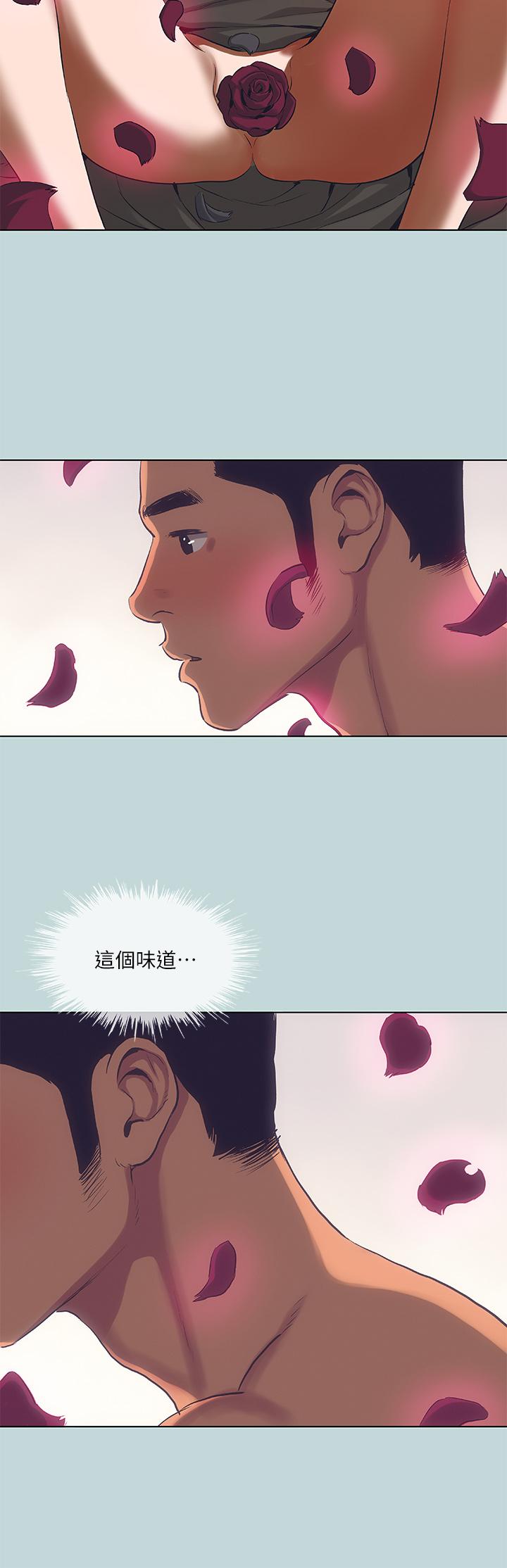 11P - 纵夏夜之梦