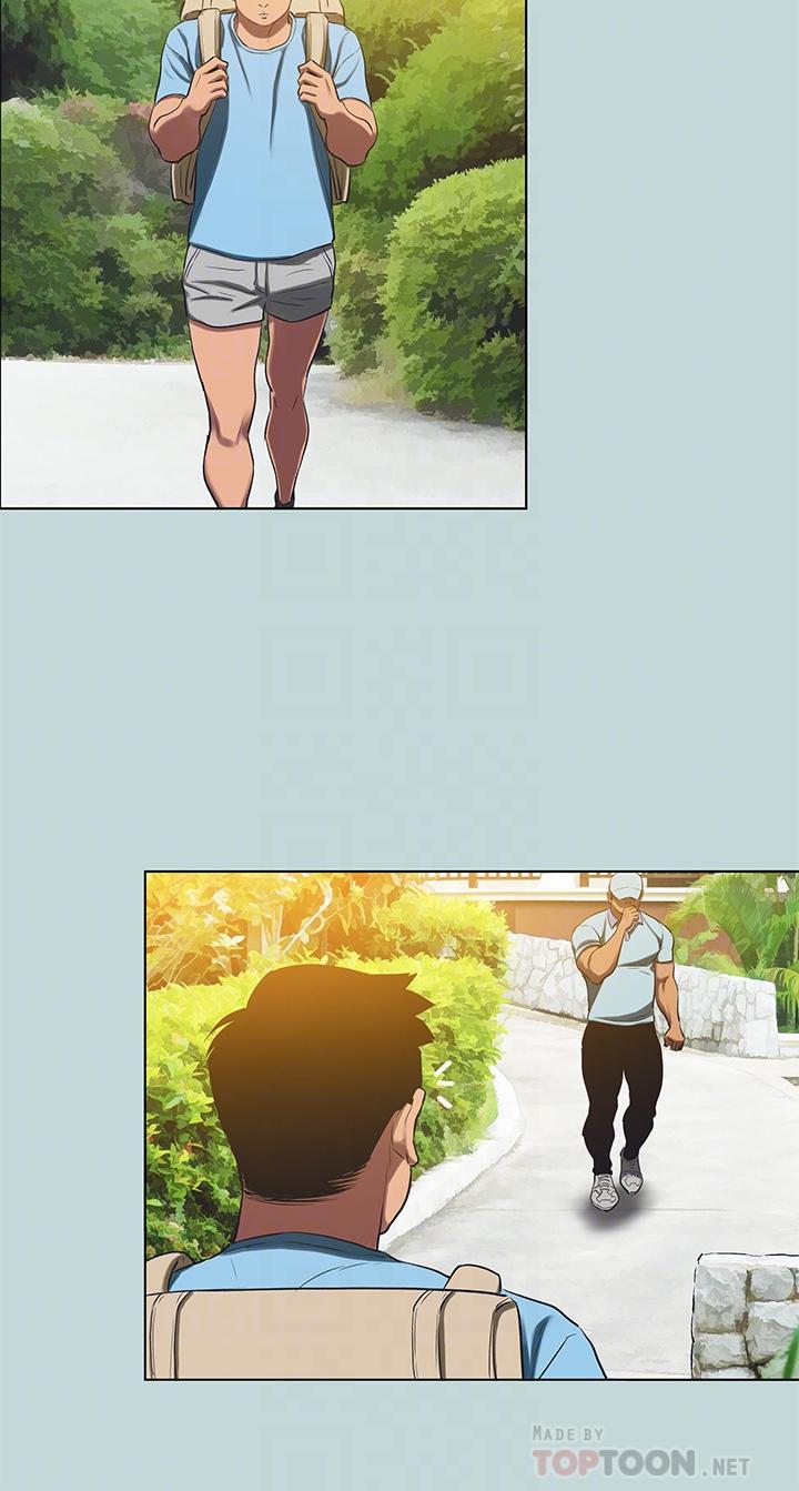 14P - 纵夏夜之梦