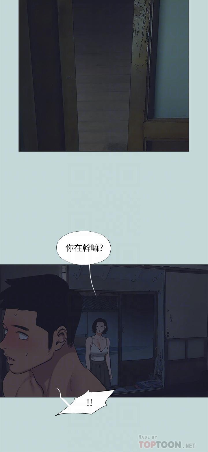 6P - 纵夏夜之梦