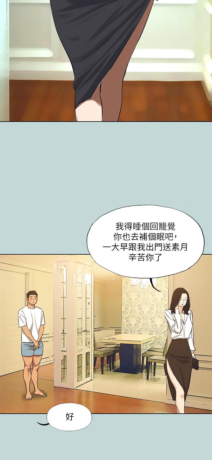 15P - 纵夏夜之梦