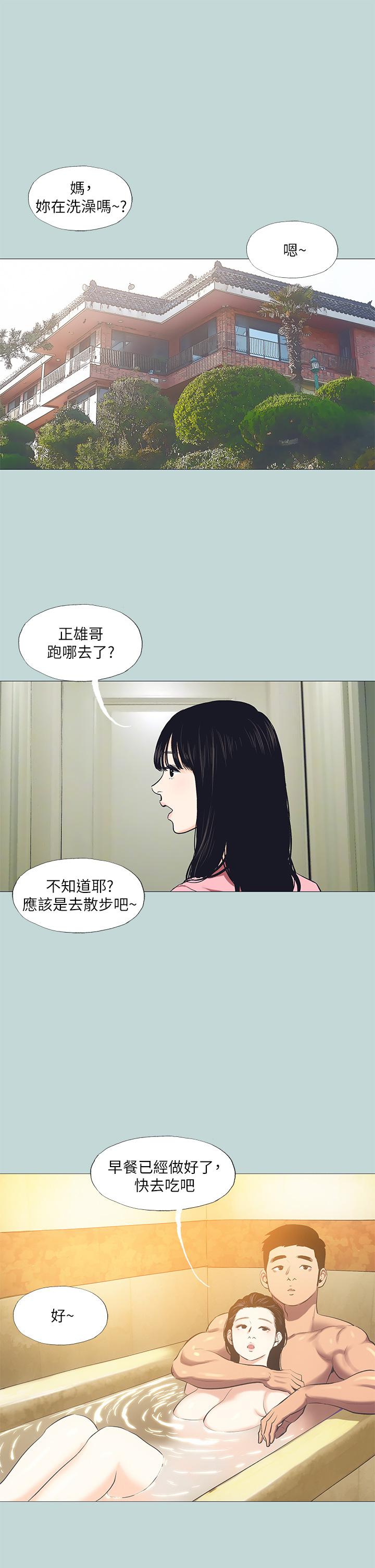 1P - 纵夏夜之梦