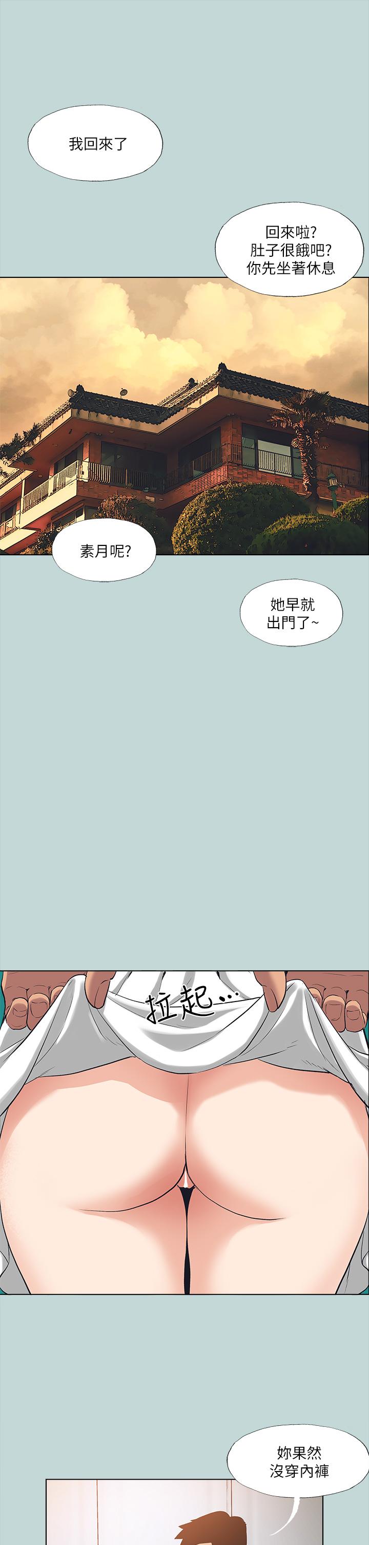 1P - 纵夏夜之梦