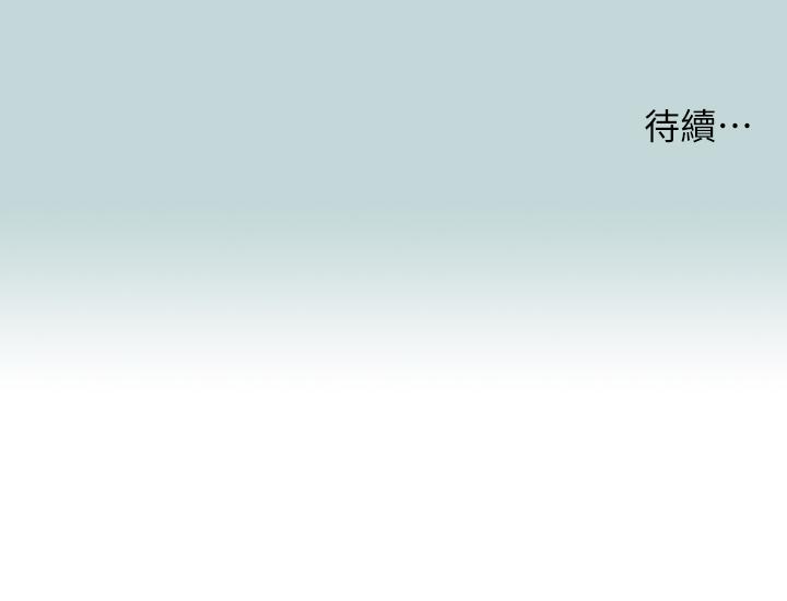 29P - 纵夏夜之梦