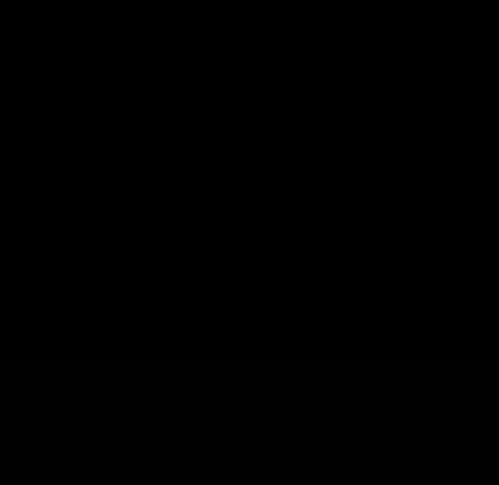 106P - 挚友