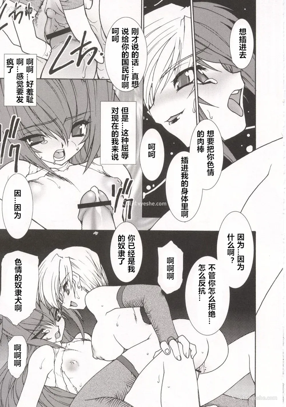 19P - [龙炎狼牙] 魂の锁 [村长个人汉化]