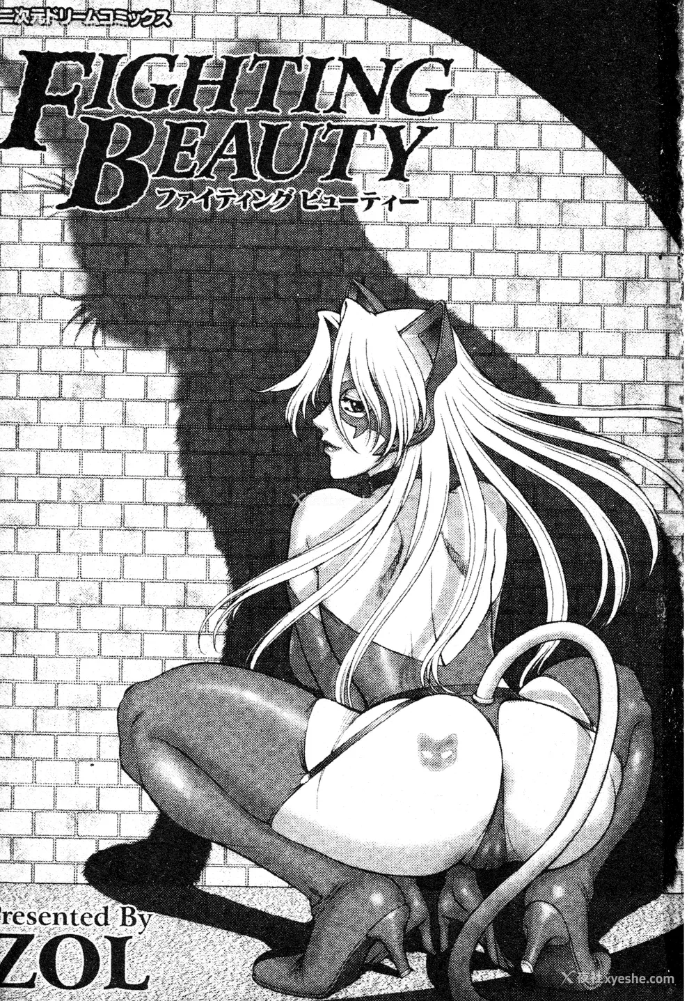 2P - [ZOL] FIGHTING BEAUTY [中文]