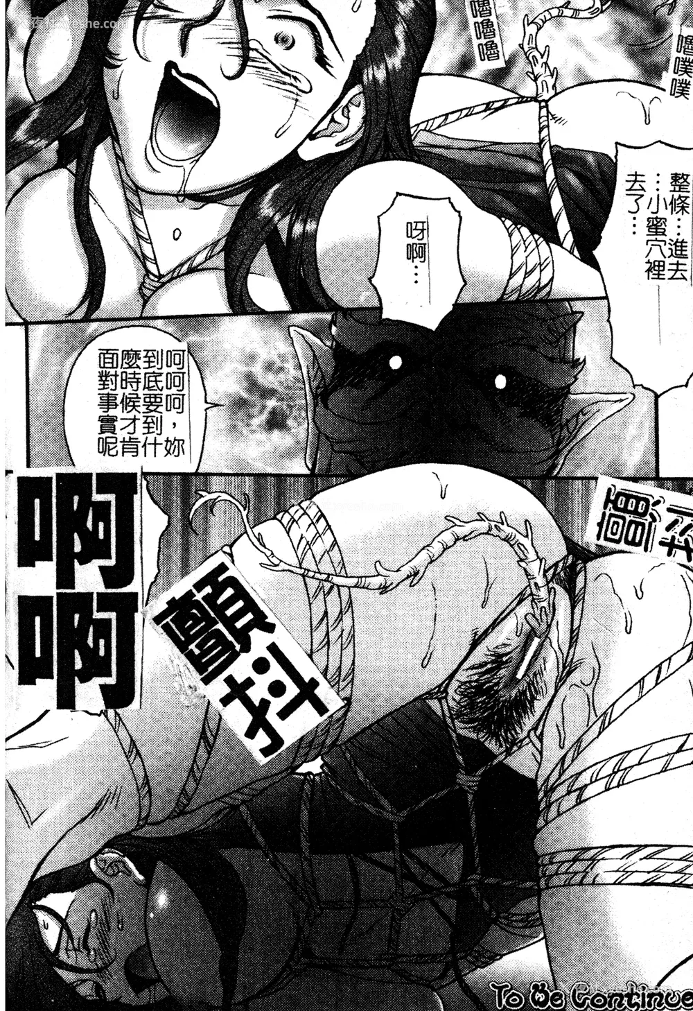 39P - [ZOL] FIGHTING BEAUTY [中文]