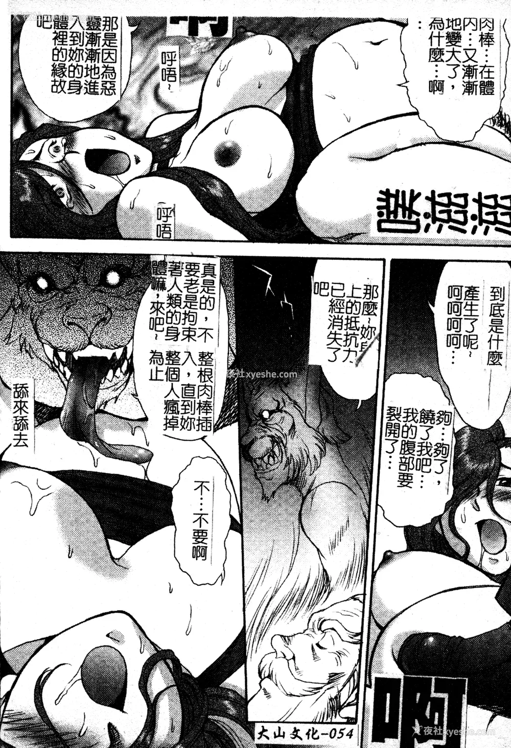 55P - [ZOL] FIGHTING BEAUTY [中文]