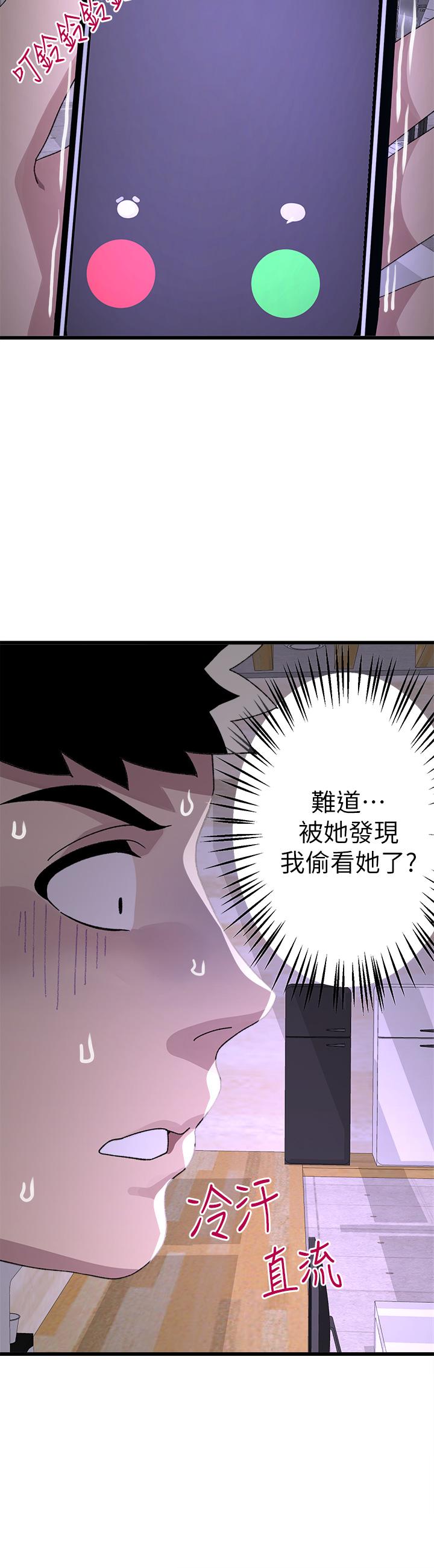 33P - 扑通扑通 配对中