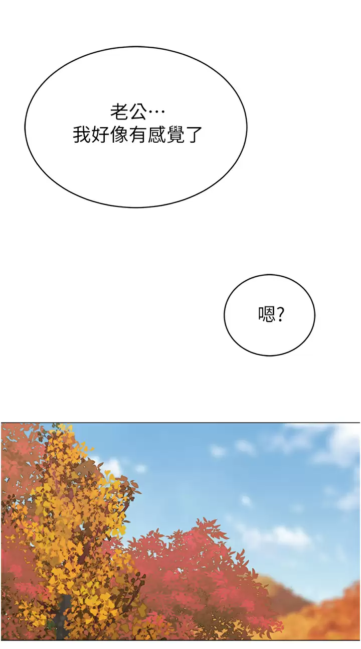 43P - 帐篷里的秘密