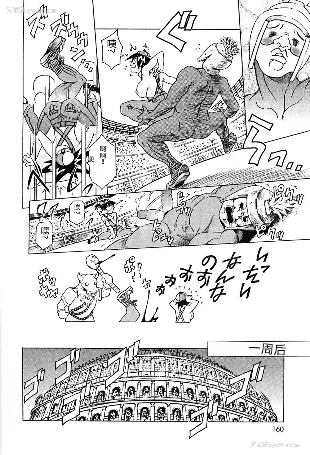 164P - [まぐろ帝国] 独身者の科学