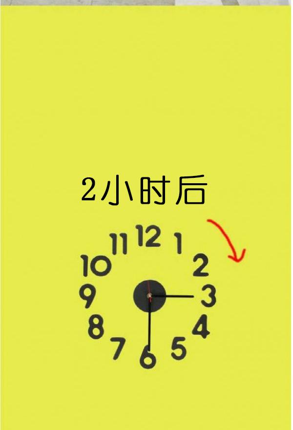 13P - 狐狸般的女人
