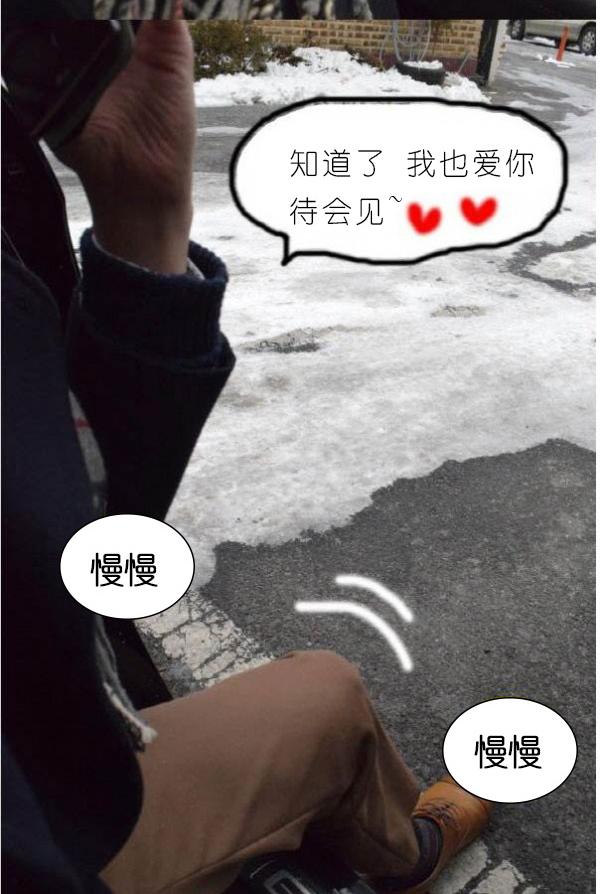 21P - 狐狸般的女人